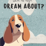 What Do Dogs Dream About? | Understanding Canine Dreams